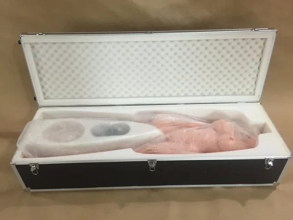 Premium Sex Doll Case - Image 3